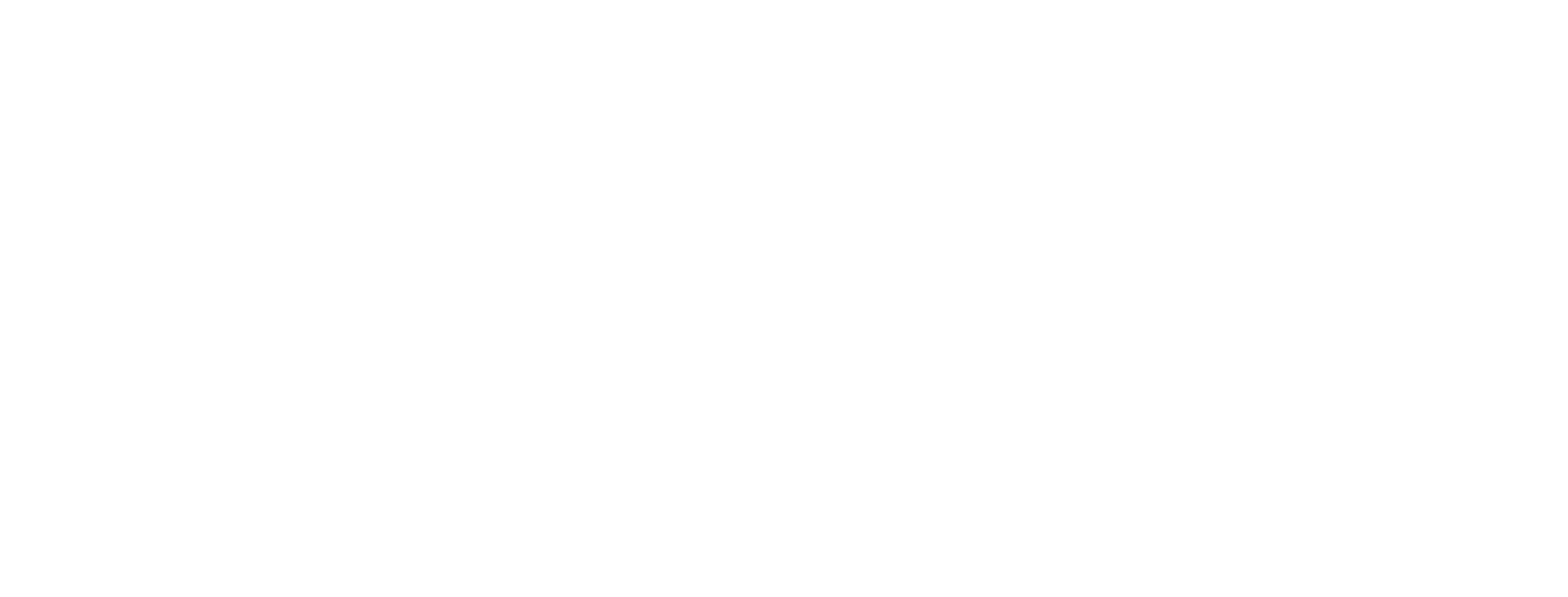 Shopper Mall