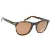 Lentes de Sol Serengeti 8689 Andrea Honey Tortoise Polarizados-8523