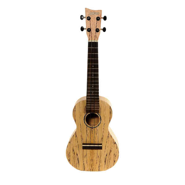Ukulele concert UKE500SPM - Ashton-0