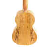 Ukulele concert UKE500SPM - Ashton-12251