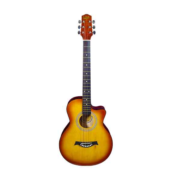 GUITARRA ACUSTICA DE LA VEGA VEGA-ACOUSTIC BS-0