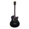GUITARRA ACUSTICA ARANJUEZ ALICANTE A ST BK-0