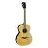 Guitarra electro-acustica NXT 018 EQ NATURAL - EKO GUITAR-0