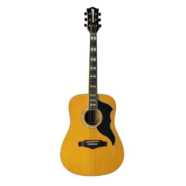Guitarra acustica Ranger VI VR - EKO GUITAR-8323