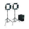 KIT DE 2 LUCES LED 3200 CN-576 C/TRIPODE Y ESTUCHE - Nanguang-0