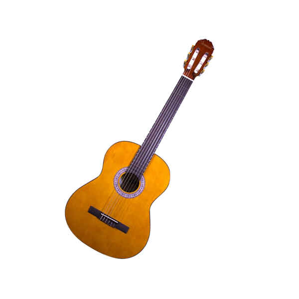 Guitarra clásica morena HG Y, Aranjuez-14366