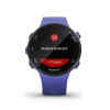 Reloj inteligente deportivo Forerunner 45S Iris - Garmin-12153