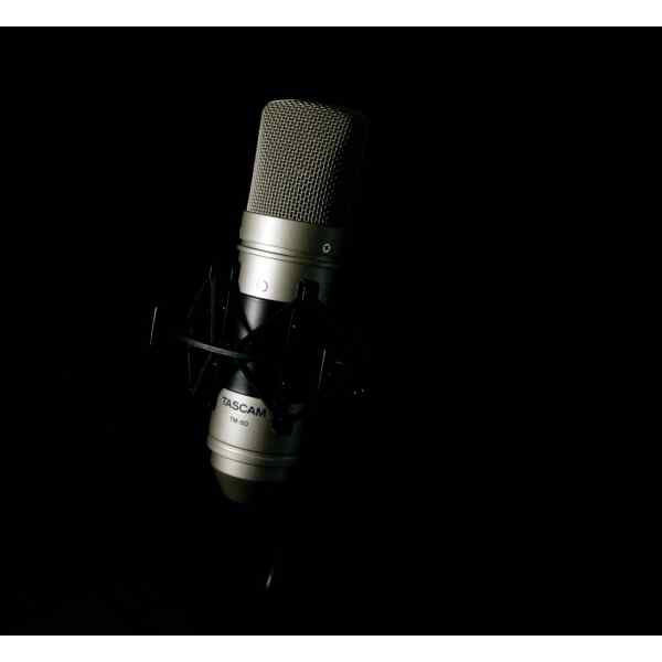 MICROFONO DE CONDENSADOR TM-80 - TASCAM-12300