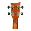 Ukulele electro-acustico concert UKE240EQMH - Ashton-12239