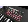 Sintetizador | KROSS2-61 - KORG-16569