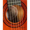 Guitarra electroclasica C/Funda | CG44CEQAM - ASHTON-15425