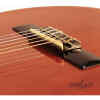 Guitarra electroclasica C/Funda | CG44CEQAM - ASHTON-15423