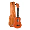 Ukulele Soprano naranja con funda incluida - UKE110NG - Ashton-0