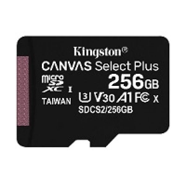 Tarjeta de memoria flash | microSDHC 256GB - Kingston-0