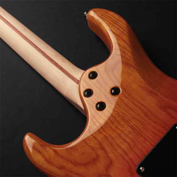 Guitarra electrica con funda |  G200DX JSS - CORT-17992