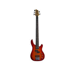 Bajo electrico  |  EBS200-24-5TRB – LIVERPOOL