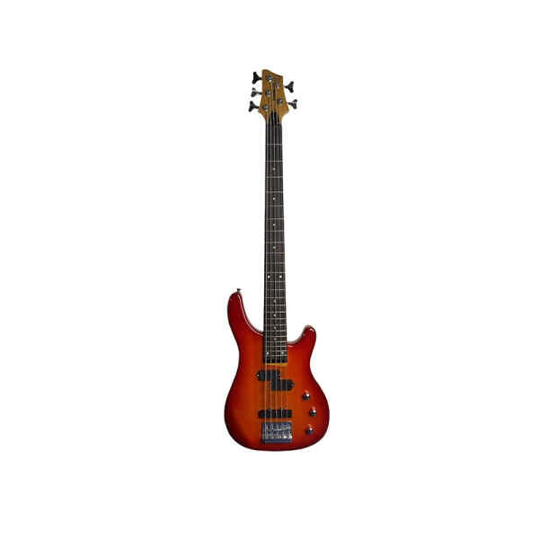 Bajo electrico | EBS200-24-5TRB - LIVERPOOL-0