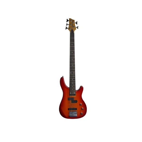 Bajo electrico | EBS200-24-5TRB - LIVERPOOL-0