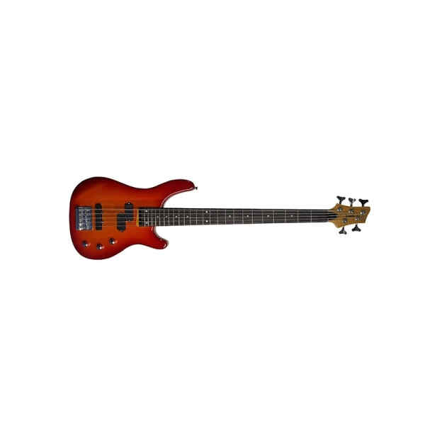Bajo electrico | EBS200-24-5TRB - LIVERPOOL-18332