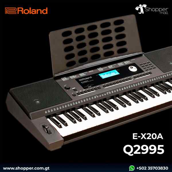 E-X20A