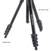 Tripode compacto de accion para camara o videocamara | MAN-TF-MKCOMPACTANC-BK - MANFROTTO-21375