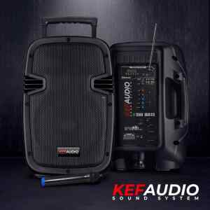 Bocina 2000W l KEF-PS15A - KEF AUDIO -0