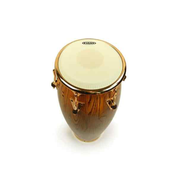 Parche conga ec1175 l EVANS-0