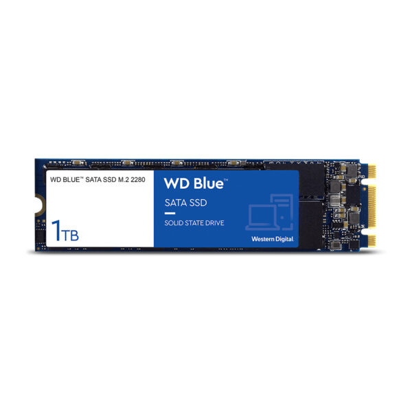WDS100T2B0B