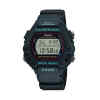 DW-290-1V