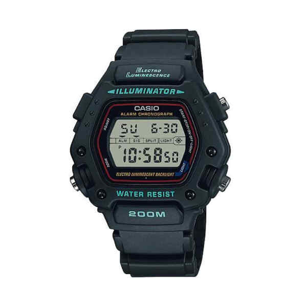 DW-290-1V