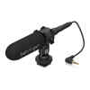 VIDEO MIC MS
