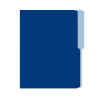 Folder Flashfile Carta Azul (5X100) Folder Flashfile Carta Azul (5X100)