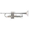 Trompeta BE110-2-0 Plateada | BESSON