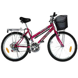 Bicicleta para dama con parilla No.24 – MAYATOUR