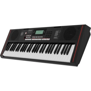 E-X10