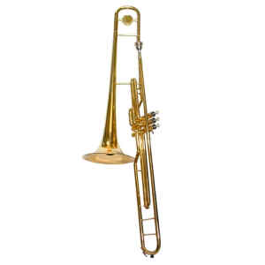 Trombon S2230L/N Bicolor | STELA