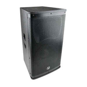 Bocina Audio 10plg. Pasiva 600W/123dB/Bobina 2.5plg./ Membrana 1.75plg./Texturizada | AUDIOPIPE