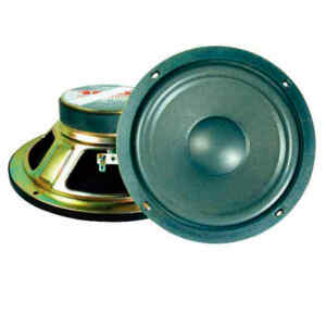 Woofer 8plg. 100W 8 OHMS | N.A.
