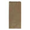 Bolsa De Papel Kraft 10Lb. Bx100 (5)