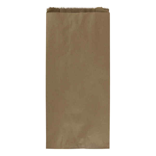 Bolsa De Papel Kraft 10Lb. Bx100 (5)