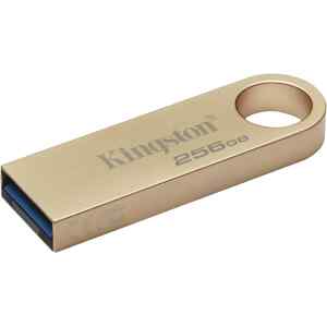 256Gb Datatraveler 3.2 220 Mb/S