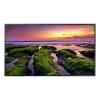 Display Samsung Qbc43 350Nit 16/7 4K