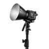 Zhiyun Molus B100