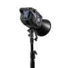 Zhiyun Molus B300