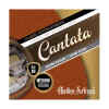 set de cuerdas cantata p/clasica medium plateada