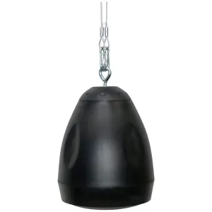 Bocina PSK-530K 30W Instalacion Colgante |  LS SYSTEMS