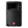 Bafle de 12 2,100 W PMPO profesional Bluetooth* – Steren